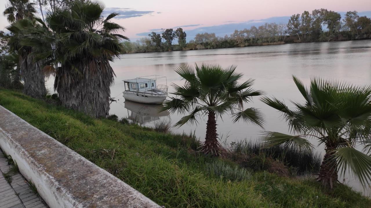 Habitacion Doble Con Aseo Compartido Coria del Río Zewnętrze zdjęcie